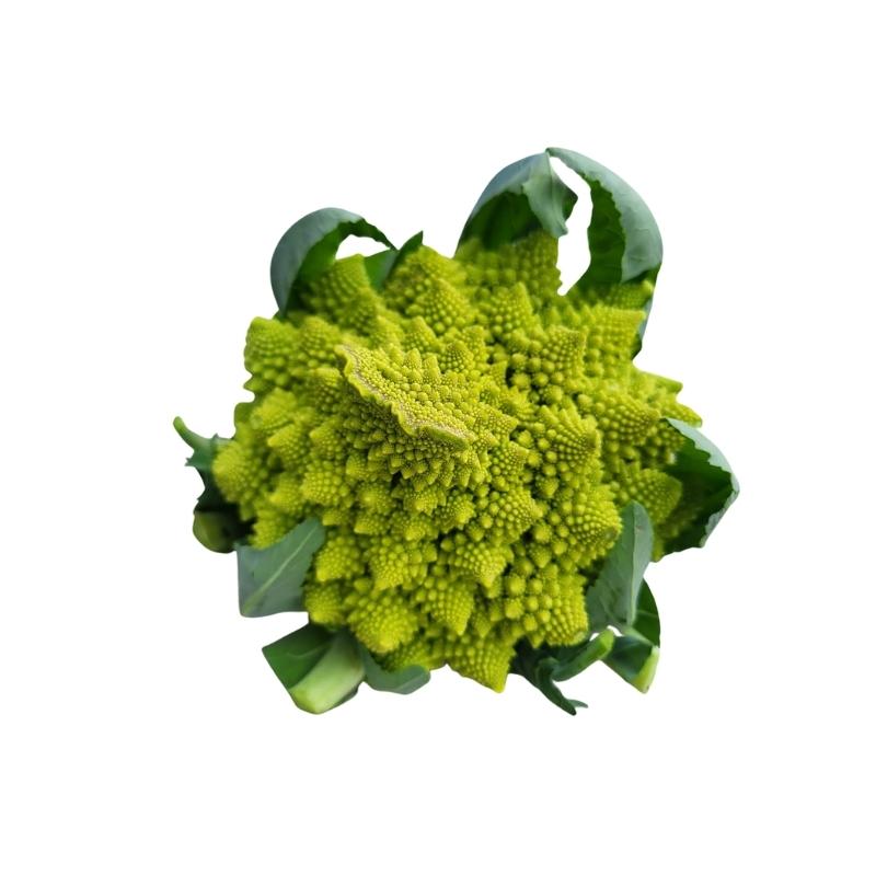 Chou Romanesco - La ferme d'Arnaud - Coutiches