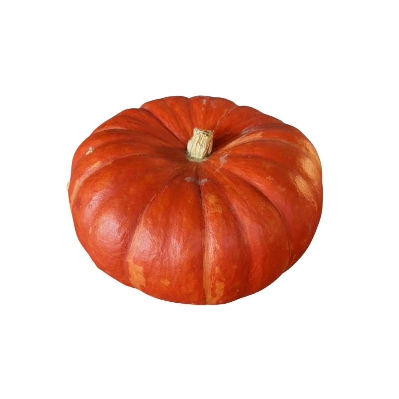 Courge Rouge Vif d'Estampes