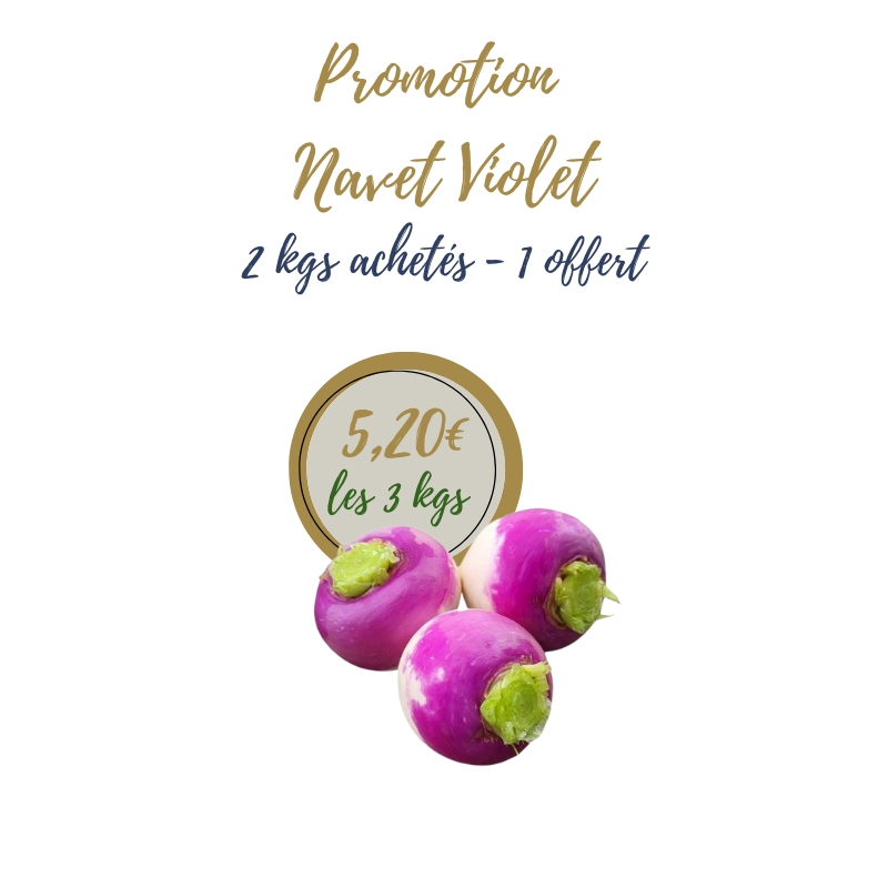 Promotion Navet Violet - La ferme d'Arnaud - Coutiches