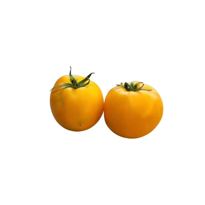 Tomate jaune - La ferme d'Arnaud - Coutiches